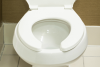 Photo for Global Toilet Seat Market 2016 - TOTO, Lixil, Panasonic, Kohler, BEMIS, HUIDA