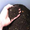 Photo for Global Vermicompost Market 2016 - MyNOKE, NutriSoil, Earthworm, Wormpower, SAOSIS