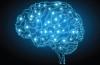 Photo for Global Cerebral Oximeters Devices Market 2016 Production, Trends, Supply, Demand and Industry Growth by 2021