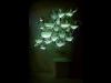 Photo for Global Bioluminescence Devices Market 2016 Production, Trends, Supply, Demand and Industry Growth by 2021