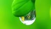 Photo for Global Agricultural Activator Adjuvant Market 2016 Production, Trends, Supply, Demand and Industry Growth by 2021