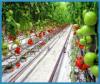 Photo for Global Drip irrigation Systems Market 2016 Production, Trends, Supply, Demand and Industry Growth by 2021