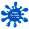 Photo for Van Nuys Water Damage Experts