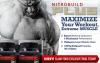 Photo for Active ingredients made use of in NitroBuild Plus !!