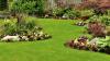 Photo for Greater Orlando Lawnscapes Inc.