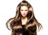 Photo for Box office Movie Review
