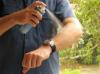 Photo for Global Body Worn Insect Repellent Market 2016 - C. Johnson, Spectrum Brands, Tender, Jahwa, Cloeman