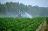 Photo for Global Organophosphate Pesticides Market 2016 Production, Trends, Supply, Demand and Industry Growth by 2021