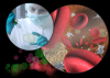 Photo for Global Biosimilars And Follow-On Biologics Market 2016 Production, Trends, Supply, Demand and Industry Growth by 2021