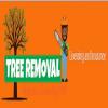Photo for Tree removal Nassau County NY