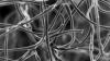 Photo for Nanocrystalline Cellulose Market: Wide-Scale Applications Stimulate Growth of Global Market