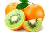 Photo for Genetically Modified Organisms Market: 2016 Size, Trends ,Growth , Research and Forecast to 2020