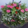 Photo for Northgate Greenhouses