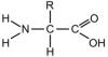 Photo for Global Amino Acid Analysis System Market 2016 Production, Trends, Supply, Demand and Industry Growth 2021