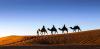 Photo for Travel Exploration Morocco Private Tours Trip Advisor Winner 2016