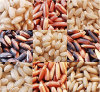 Photo for Global Organic Rice Protein Market Growth Till, 2016 - 2020: Reseach Beam