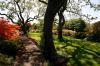 Photo for Trees Are Good NJ