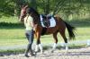 Photo for Private Horseback Training Programs in CA
