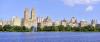 Photo for My Mold Removal NYC