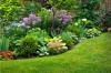 Photo for Landscape & Lawn Care San Diego
