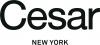 Photo for Kitchen Remodeling New York | Cesar Kitchens