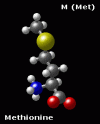 Photo for Global Methionine Market 2016 by Manufacturers, Regions, Trends, Growth, Size, Forecast to 2021