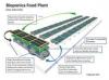 Photo for United States Aquaponics Market Size, Business Growth and Opportunities Report 2016