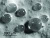 Photo for Microspheres Market to Account for US$7.77 bn by 2023, Composites and Medical Technology Represent Key Applications