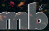 Photo for MBTV
