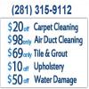 Photo for Carpet Cleaner Richmond