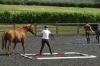 Photo for Equestrian riding schools 