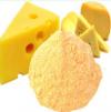 Photo for Global Cheese Powder Market 2016 Size, Share, Growth, Development Trend, Production Overview, Manufacturers Analysis 2021