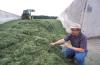 Photo for Global Agricultural Inoculants Market 2016 Size, Share, Growth, Development Trend, Production Overview, Manufacturers Analysis 2021