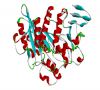 Photo for Global Lipase  Market 2016 Production, Capacity, Price, Growth, Share 2021