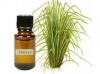 Photo for Global Vetiver Oil Market 2016 Size, Share, Growth, Development Trend, Manufacturers Analysis 2021