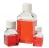 Photo for Global Cell Culture Media Market 2017 Size, Growth, Developement Trends, Analysis 2022