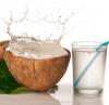Photo for Global Coconut Water Market 2017 Size, Growth, Developement Trends, Analysis 2022