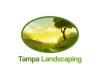 Photo for Tampa Landscaping