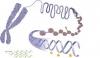 Photo for Global Epigenetics Market 2016 Industry Growth, Trends, Size, Demand, Share and Analysis by 2021