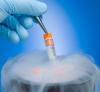 Photo for Global Stem Cells Cryopreservation Equipments Market 2017-2022 Growth, Size, Trends, Manufacturing Analysis