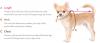 Photo for Dog Measuring Guide