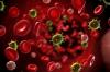 Photo for Global Blood Cancer Market 2016 Industry Growth, Trends, Size, Demand, Share and Analysis by 2021