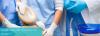 Photo for Downtown Dental Clinic & Ottawa Dentists | Metcalfestreetdental