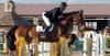 Photo for Equestrian Training and Riding Facilities 