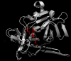 Photo for Global Protease Market 2016 Dupont, Novozymes, Advanced Enzyme Technologies, Amano Enzyme, Biocatalysts Limited