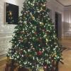 Photo for 15 Most Popular Winter Holiday Cocktail Recipes@ DCLIQUOR STORE