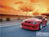 Photo for Desert Classic Mustangs
