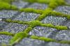 Photo for Global Green Cement Market: Green Building for Sustainability Ensures Positive Outlook, says TMR