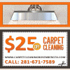 Photo for Carpet Cleaning Rosenberg