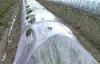 Photo for Global Agricultural Films Market 2016 Growth, Forecast to 2021 by Trends, Shares, Value, Demand, Development in Manufacturing Technology